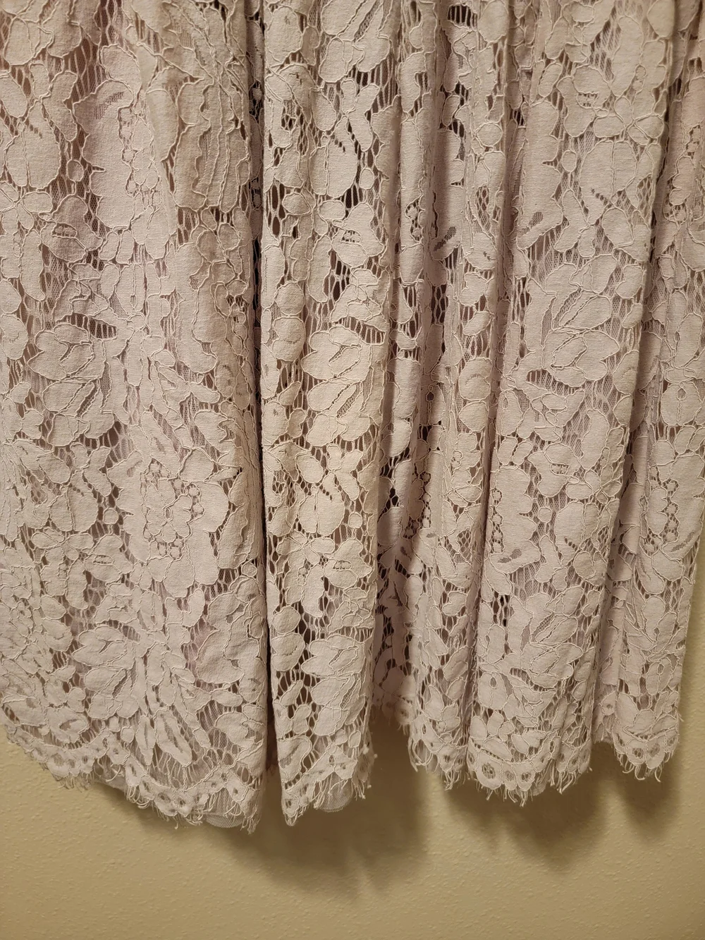 Rachel Parcell Lace Fit And Flare Dress